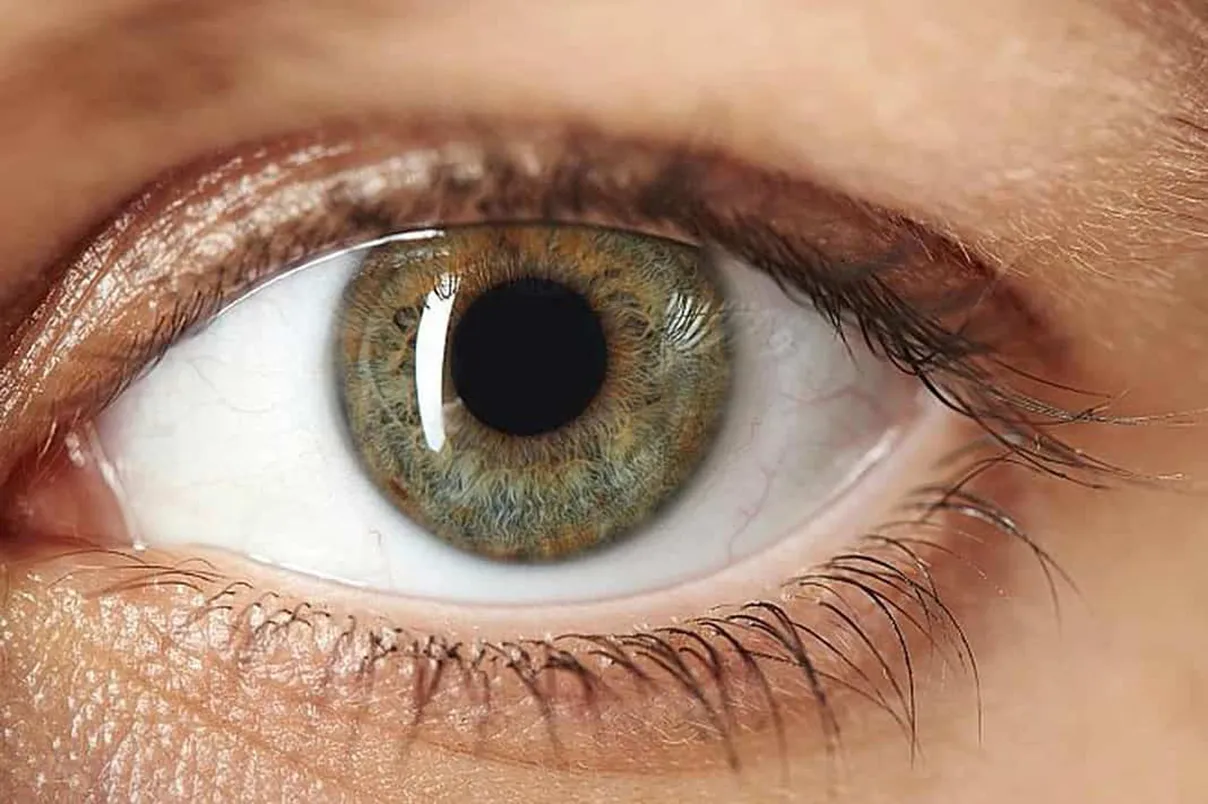 Primo piano di un occhio umano con iride verde nocciola, pupilla nera e ciglia visibili.
